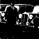 A man stands in front of twelve Daimler cars on a dock